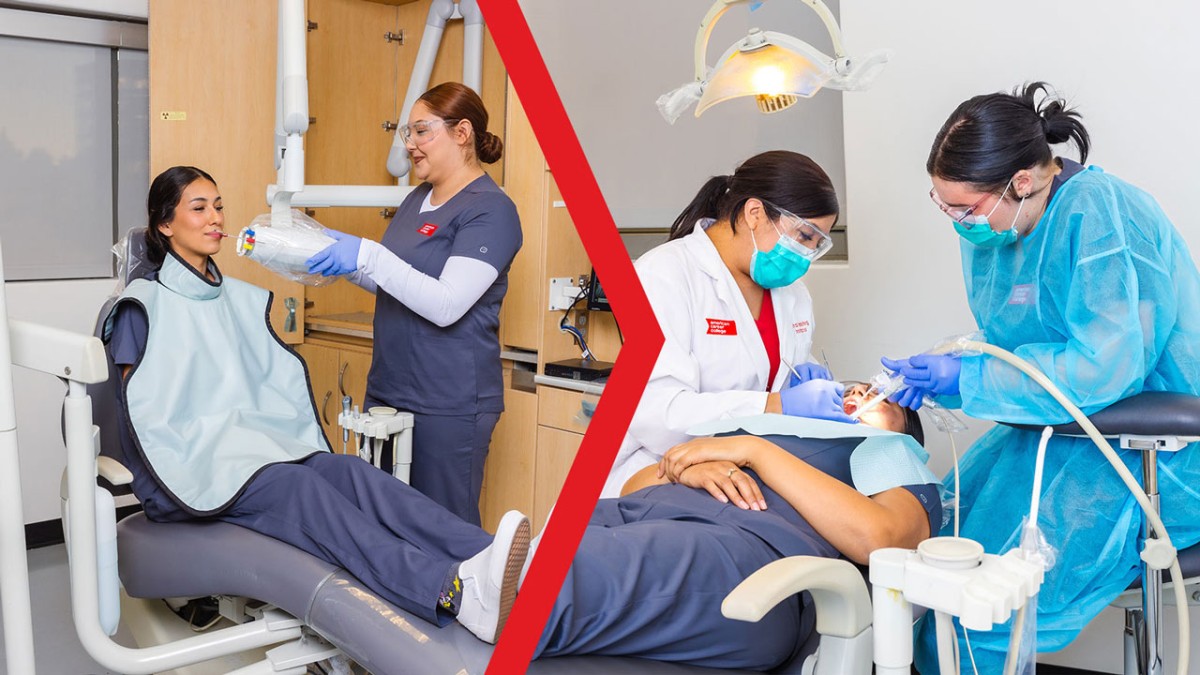 Dental Assistant Diploma vs. Certificate vs. Degree: What to Know About Your Options